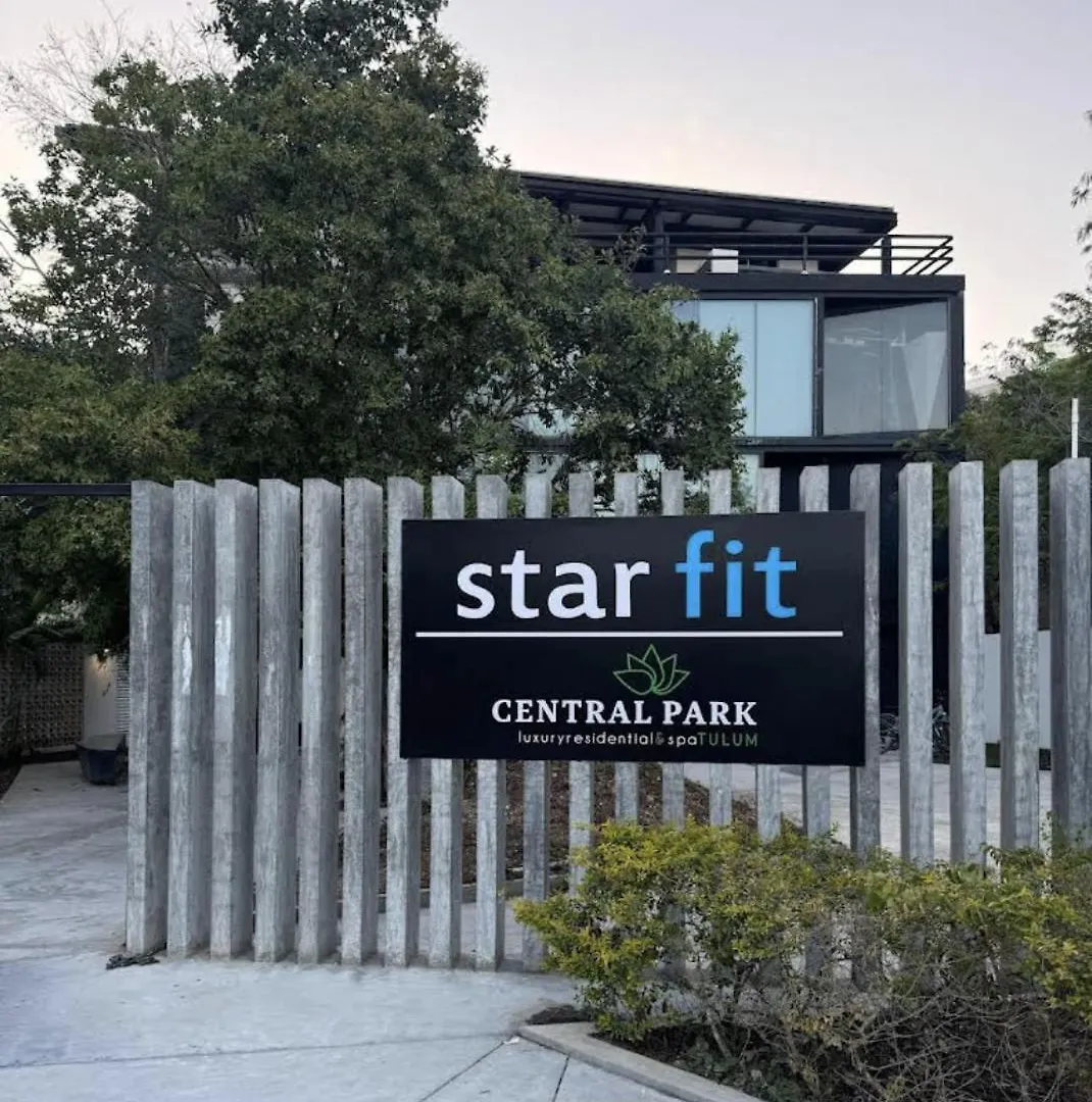公寓 Central Park Penthouse 图卢姆